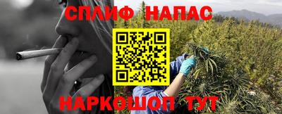 a pvp Жуковский