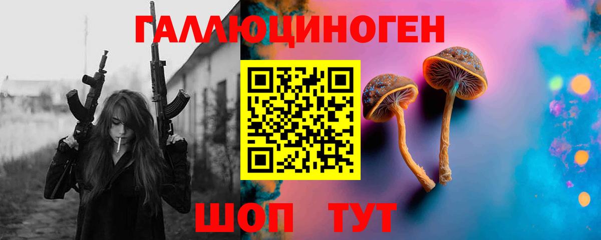 Кинешма  Галлюциногенные грибы Psilocybine cubensis  Вход с VPN 